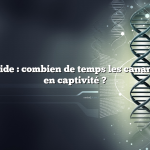 Réponse rapide : combien de temps les canards vivent-ils en captivité ?